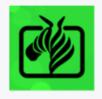 安卓言橘壁纸v1.1.4绿化版-趣奇资源网-第9张图片